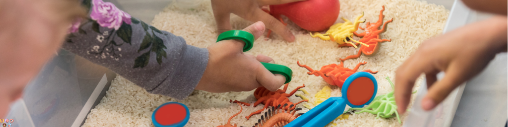 Calm, organized sensory-friendly environment